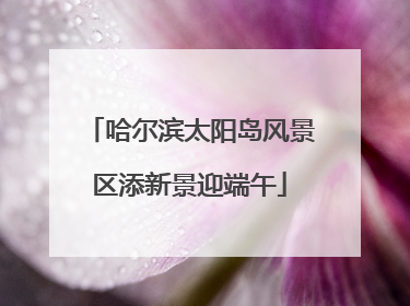哈尔滨太阳岛风景区添新景迎端午