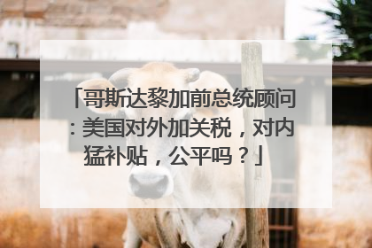 哥斯达黎加前总统顾问：美国对外加关税，对内猛补贴，公平吗？