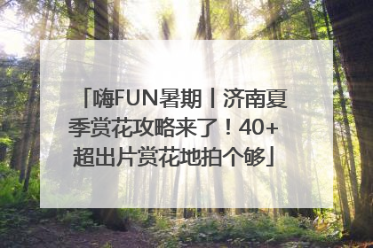 嗨FUN暑期丨济南夏季赏花攻略来了！40+超出片赏花地拍个够