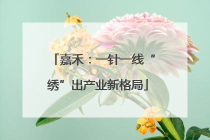 嘉禾：一针一线“绣”出产业新格局
