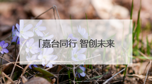 嘉台同行 智创未来 2025浙江·台湾合作周嘉兴专场活动在嘉兴经开区启幕