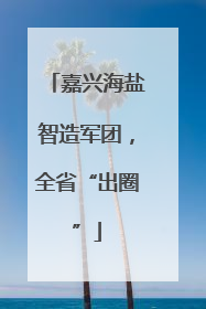 嘉兴海盐智造军团，全省“出圈”
