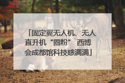 固定翼无人机、无人直升机“圈粉” 西博会成都馆科技感满满