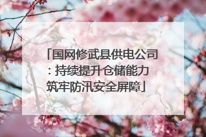 国网修武县供电公司：持续提升仓储能力 筑牢防汛安全屏障