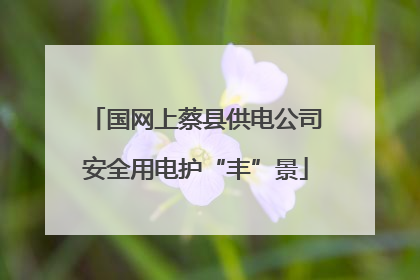 国网上蔡县供电公司安全用电护“丰”景