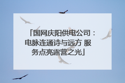 国网庆阳供电公司：电脉连通诗与远方 服务点亮露营之光