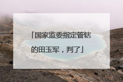 国家监委指定管辖的田玉军，判了
