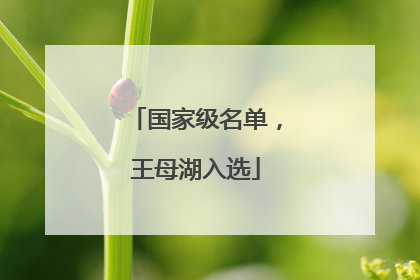 国家级名单，王母湖入选