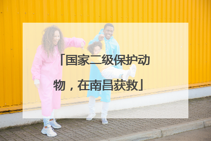 国家二级保护动物，在南昌获救
