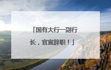 国有大行一副行长，官宣辞职！