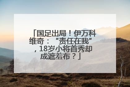 国足出局！伊万科维奇：“责任在我”，18岁小将首秀却成遮羞布？