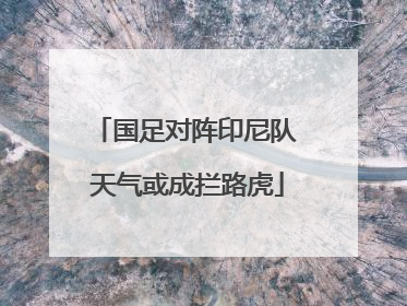 国足对阵印尼队 天气或成拦路虎