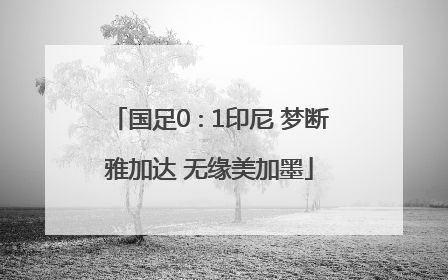 国足0∶1印尼 梦断雅加达 无缘美加墨