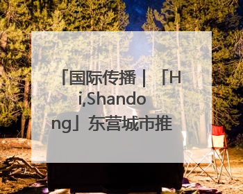 国际传播｜「Hi,Shandong」东营城市推介展亮相“从蒙马特到加里波第”文化节
