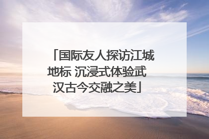 国际友人探访江城地标 沉浸式体验武汉古今交融之美
