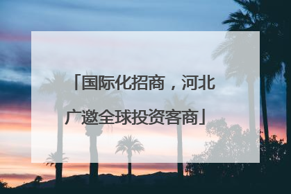 国际化招商，河北广邀全球投资客商