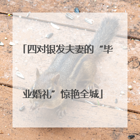 四对银发夫妻的“毕业婚礼”惊艳全城