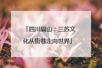 四川眉山：三苏文化从街巷走向世界
