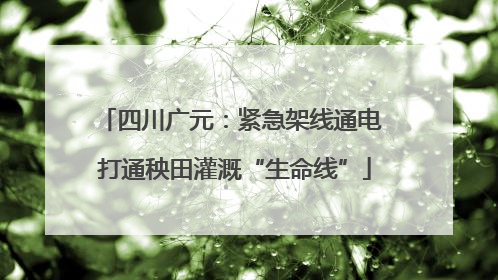 四川广元：紧急架线通电 打通秧田灌溉“生命线”