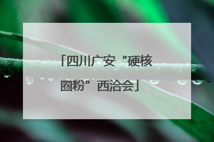 四川广安“硬核圈粉”西洽会