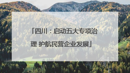 四川：启动五大专项治理 护航民营企业发展