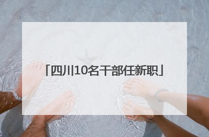 四川10名干部任新职