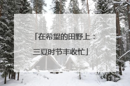 在希望的田野上：三夏时节丰收忙
