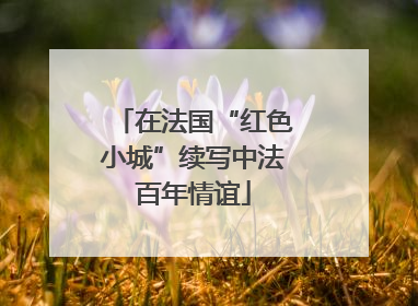 在法国“红色小城”续写中法百年情谊