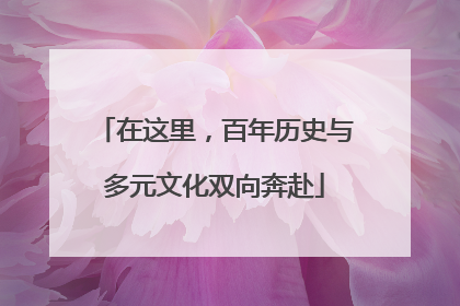 在这里，百年历史与多元文化双向奔赴