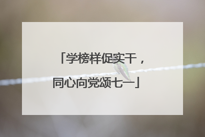 学榜样促实干，同心向党颂七一