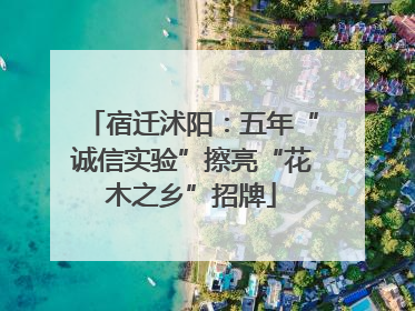 宿迁沭阳：五年“诚信实验”擦亮“花木之乡”招牌