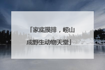 家底摸排，崂山成野生动物天堂