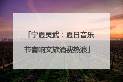 宁夏灵武：夏日音乐节奏响文旅消费热浪