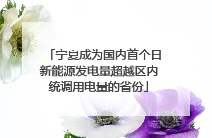 宁夏成为国内首个日新能源发电量超越区内统调用电量的省份