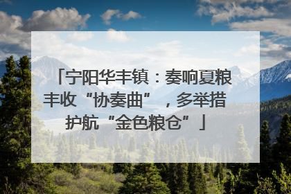 宁阳华丰镇：奏响夏粮丰收“协奏曲”，多举措护航“金色粮仓”