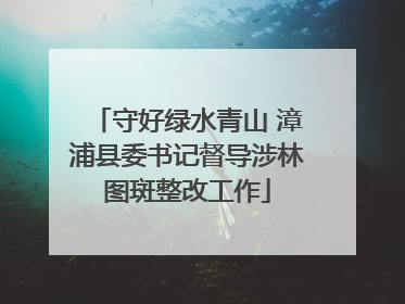 守好绿水青山 漳浦县委书记督导涉林图斑整改工作