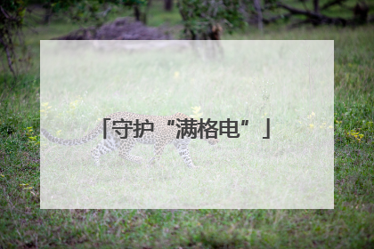 守护“满格电”