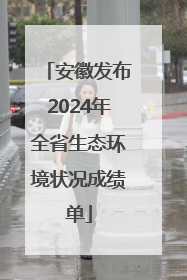 安徽发布2024年全省生态环境状况成绩单