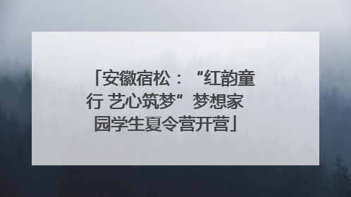 安徽宿松：“红韵童行 艺心筑梦”梦想家园学生夏令营开营