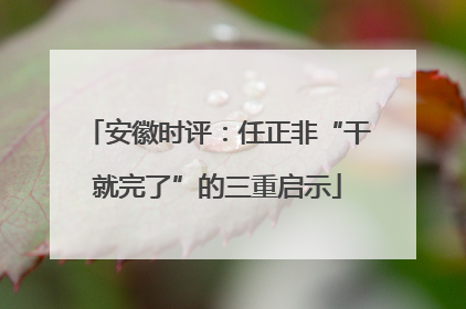 安徽时评：任正非“干就完了”的三重启示