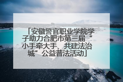 安徽警官职业学院学子助力合肥市第三届“小手牵大手、共建法治城”公益普法活动