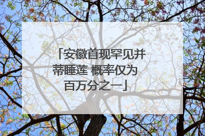 安徽首现罕见并蒂睡莲 概率仅为百万分之一