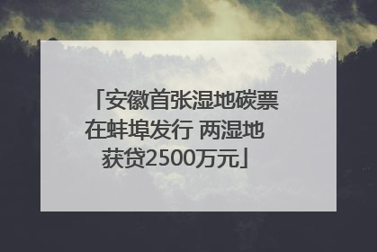 安徽首张湿地碳票在蚌埠发行 两湿地获贷2500万元