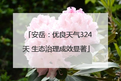 安岳：优良天气324天 生态治理成效显著
