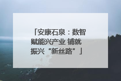 安康石泉：数智赋能兴产业 铺就振兴“新丝路”