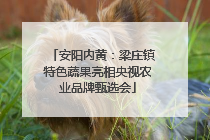 安阳内黄：梁庄镇特色蔬果亮相央视农业品牌甄选会