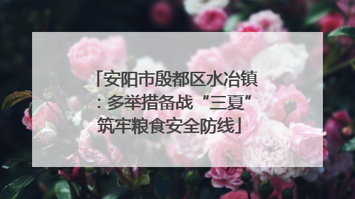 安阳市殷都区水冶镇：多举措备战“三夏” 筑牢粮食安全防线