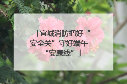 宜城消防把好“安全关”守好端午“安康线”