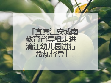 宜宾江安城南教育督导组走进淯江幼儿园进行常规督导
