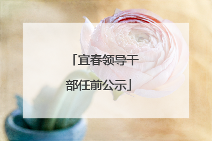 宜春领导干部任前公示